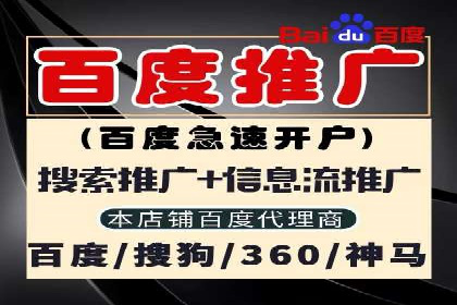 优化SEM竞价策略：成功案例剖析